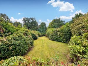 Photo 21- click for photo gallery